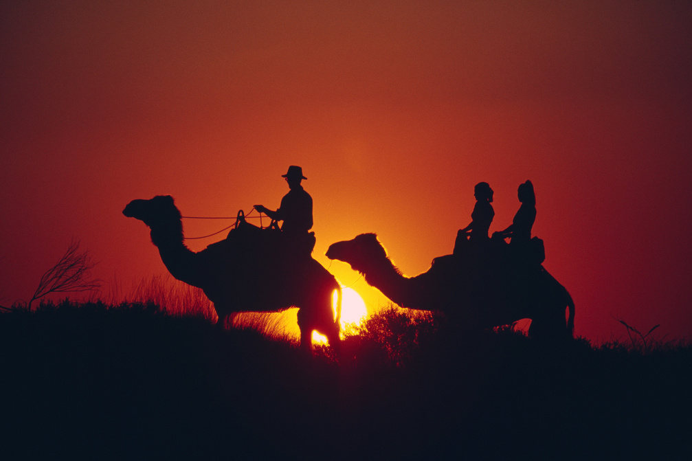 Camel Ride